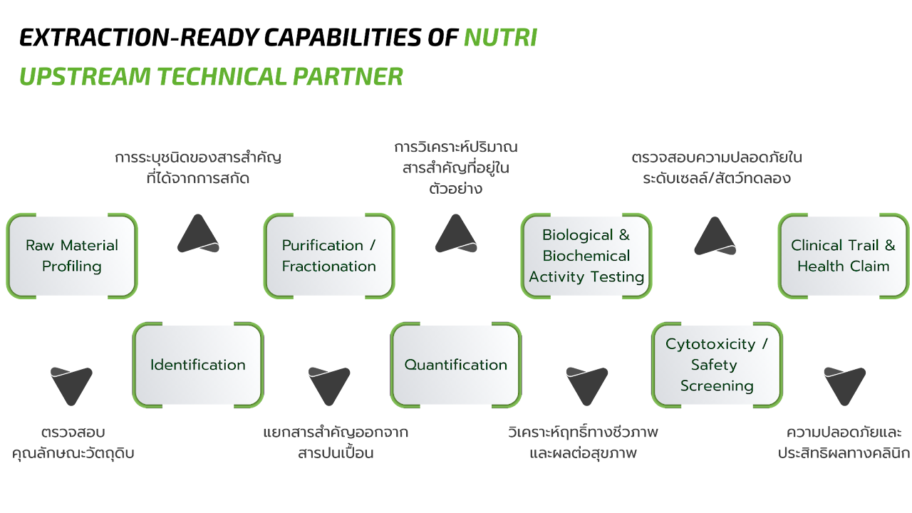 โครงสร้าง